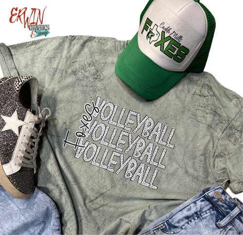 Foxes Volleyball
